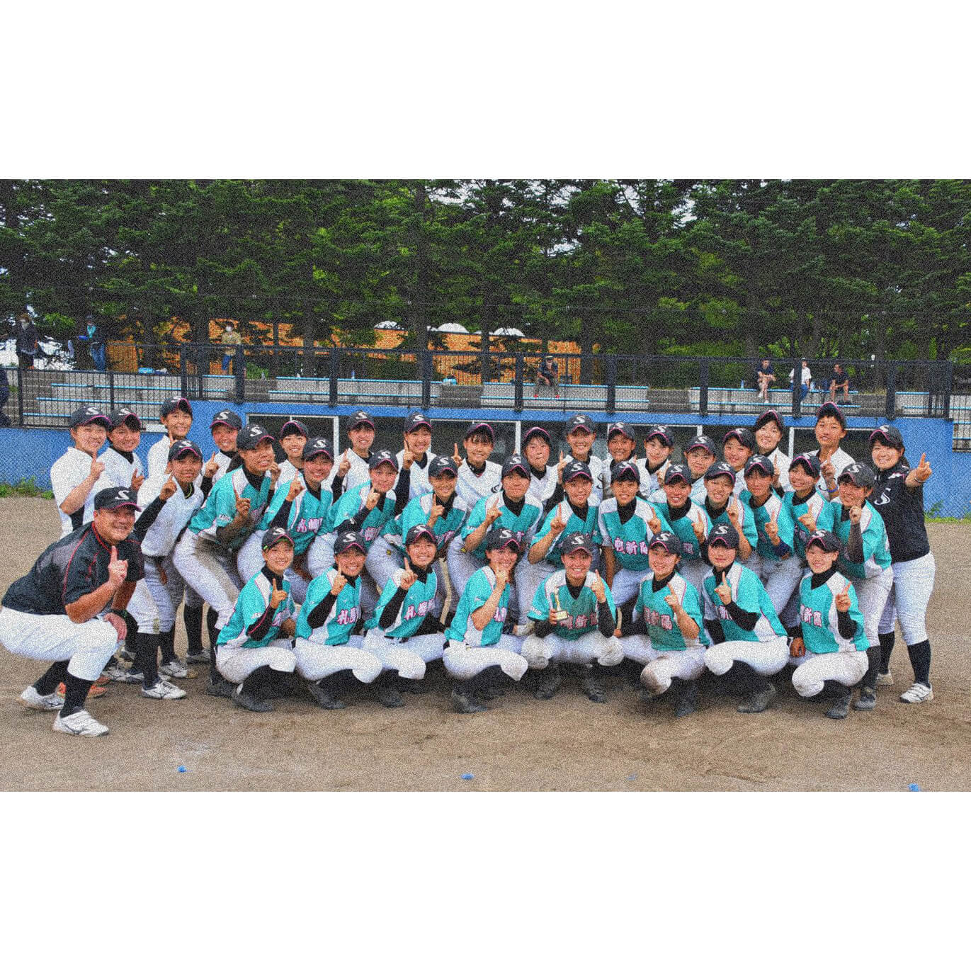 札幌新陽高等学校 女子硬式野球部
