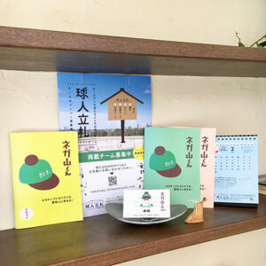 blisshair展示